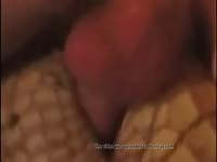 Man Fucks Crocodile Gaybeast Rip - Bestiality Sex Video