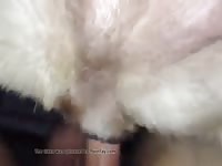 Man Fucks Stray Lust Gay Beast Com - Zoo Xxx Porn Video