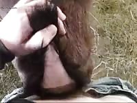 Man Fucks Tight Goat Pussy Gaybeast - Zoo Xxx Porn Video