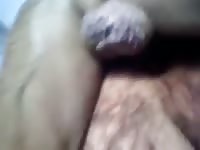 Man Gettign Knotted And Gives Dog A Blow Job Gaybeast Rip - Bestiality Sex Video