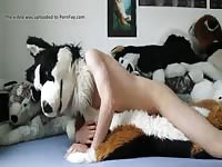 Man Hump Big Dog Plush Gaybeast - Zoo Xxx Sex Video
