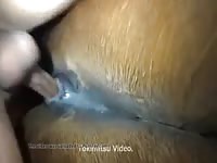 Man Loving His Mare Gaybeast - Animal Sex Video