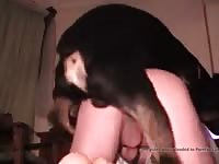 Man Rottweiler16 Gaybeast.Com - Bestiality Porn