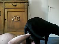 Man Suck Dog Cock Gay Beast Com - Beastiality Sex Video