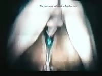 Mare Man Video Gay Beast Com - Zoo Xxx Sex Video