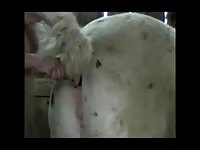 Mare Pussy Toyed And Fingered Gay Beast Com - Animal Porn Video