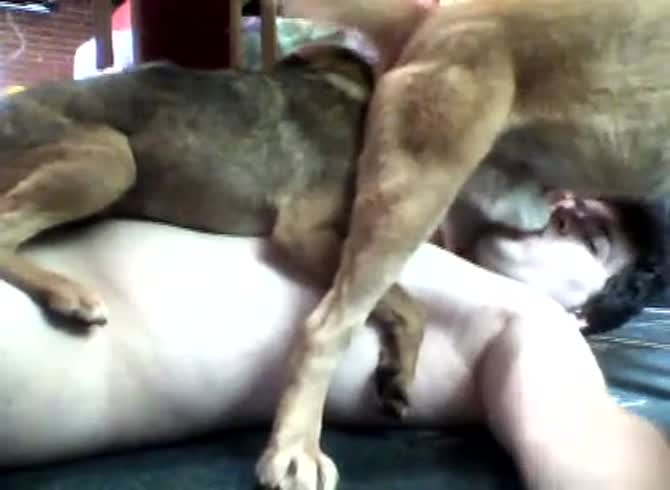 Dog And Female Xxxxx | Sex Pictures Pass