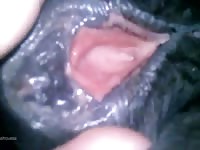 Me Finger And Licking Rus Mare Gaybeast Rip - Beastiality Porn Movie