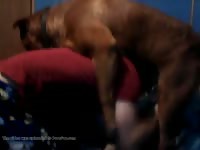 Me My Dog 1 Gaybeast Rip - Animal Sex Video