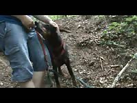 Men Fuck Dog In Public - Zoo Porn Amateur, Zoo Porn With Men at Katitube