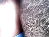 Men Fuck Donkey With Condom Gaybeast.Com - Animal Porn Video