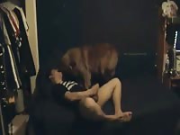 Multiple Female Dog Orgasms Gay Beast Com - Animal Porn Video