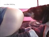 My Dog Licking Butt Knotholelover Camping 1