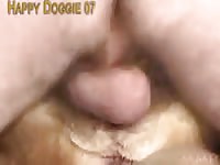My Litle Gerl Gaybeast - Beastiality Porn Tube