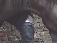 New Horse Gaybeast Rip - Animal Sex Tube