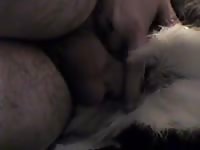 Oh Deer Gaybeast Rip - Beastiality Sex Video