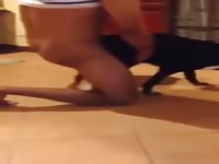 Orgy With Womanes Gaybeast.Com - Bestiality Porn Video