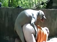 Outdoor Gaybeast.Com - Zoo Xxx Sex