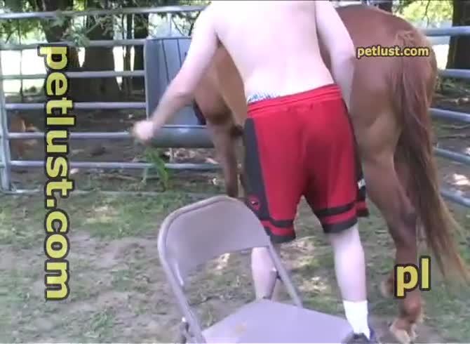 Man fucks mare