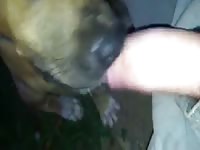 Peanut Butter Dog Gaybeast.Com - Beastiality Porn Video