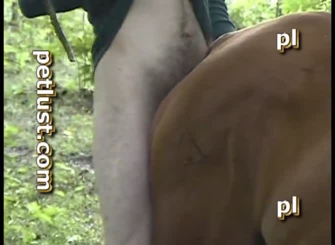 Petlust Men And Mares 3 Full Zoo Porn Horse Xxx Beastiality - Katitube  Kinky Sex