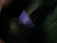 Petlust Shadowheat Vib Arc Men With Animals