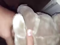 Plushie Pug Fuck Gaybeast.Com - Beastiality Porn Movie