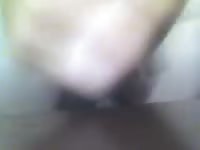 Plushy Boy Gaybeast - Beastiality Sex Movie