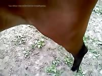 Pony Play Gaybeast.Com - Animal Sex