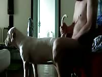 Puppy Gaybeast - Beastiality XXX Porn Tube