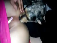 Puppy Rims Gaybeast.Com - Bestiality Porn Tube