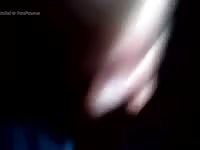 Res Gaybeast Rip - Beastiality XXX Porn