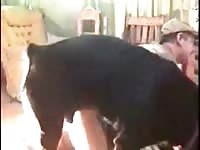 Rotted2 Gaybeast - Beastiality Sex Video
