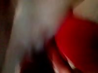 Rusa Juan Y Yo Gaybeast.Com - Animal Sex Movie