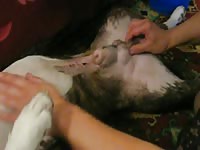 Russian Girls Beastiality XXX Extreme Animal Lovers Russian Girls Zoo 11