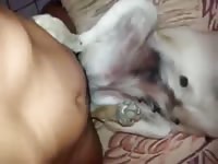 Sex With A Nice Dog Gay Beast Com - Beastiality Porn Video