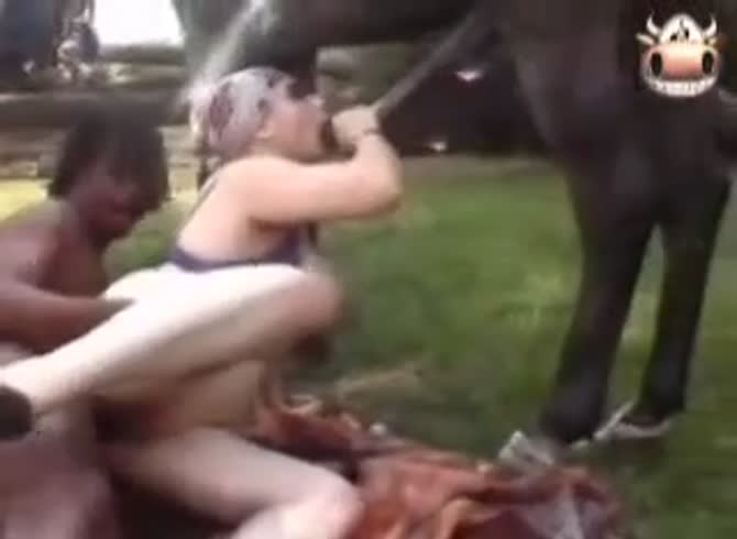 Tit Fuck Active Horse Mp4 - Slut Fucked By Horse And A Black Man - Zoo Porn Horse at Katitube