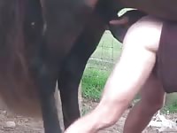 Horse 5 Gay Beast Com - Beastiality Sex