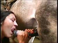 Horse Cums In Nadia S Oiled Up Pussy