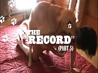 Strayx The Record Part 5