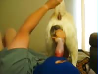 Suck Dog Cock Gaybeast - Beastiality Porn