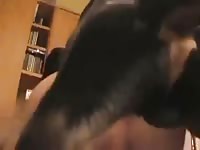 Taking The Knot Gay Beast Com - Animal Sex Tube