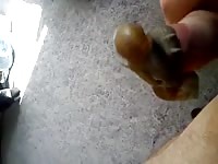 Two Snails Made Me Cum Huge Gay Beast Com - Animal Sex Video