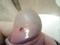 Uncut Cock And Ant Gay Beast Com - Animal Sex