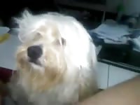 Under My Shorts Gaybeast Rip - Animal Porn