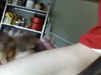 Asian With Dog Webcam Beastiality Porn