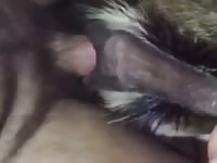 White Bois Gaybeast - Animal Sex Video