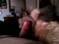 Wolf Puppet Blowjob Gay Beast Com - Beastiality Sex Movie