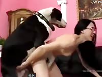 Girl Doggystyled By A Dog Petsex Com - Bestiality Porn Video