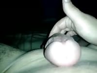 Worm 7 Gaybeast - Bestiality Porn Video